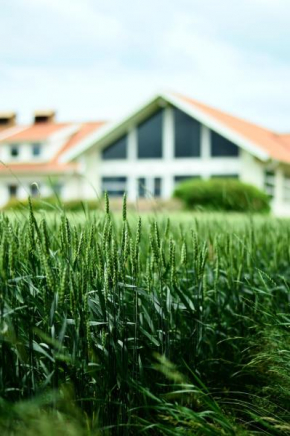 Katrinebergs Folkhögskola B&B in Vessigebro